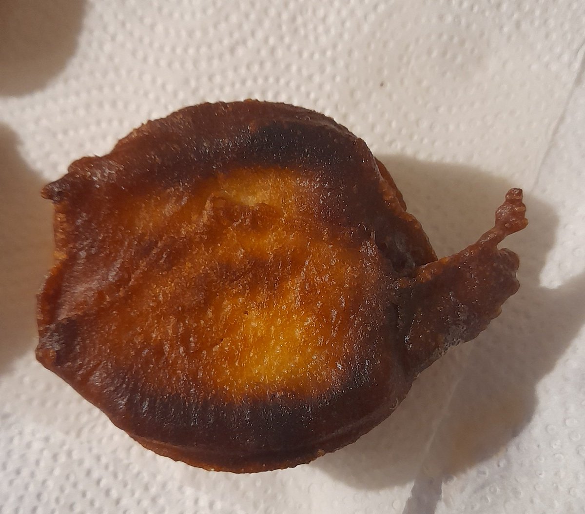 Maxiv67's tweet photo. Vino mi hermana y entonces hice buñuelos para no comprar galles.

Este parece un caracol. https://t.co/ovjCjiIYVk