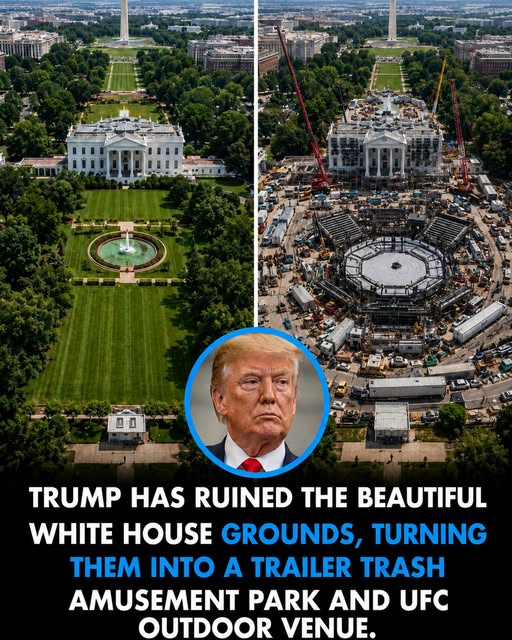JamesTate121's tweet photo. What a distraction this is huh? https://t.co/TupXSIJrON