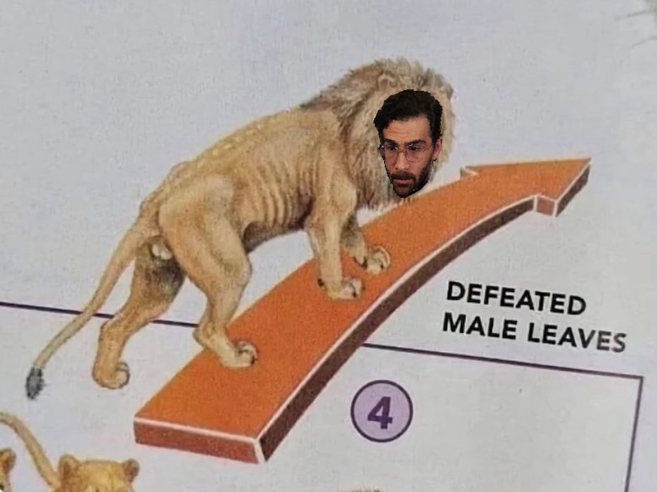 TheLastBasti0n's tweet photo. @H3H3Alfredo Take a meme, leave a meme https://t.co/NIYgUtpkKt
