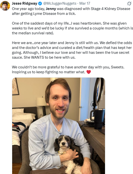 America1stWorks's tweet photo. Your child's life mattered. 

If only you valued it as much as your dog's. https://t.co/WbCKhkASoK