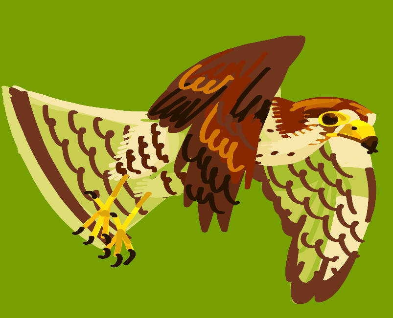 BlockafellerART's tweet photo. Drawing birds hard (Red Necked Falcon) https://t.co/ARAypeMWml