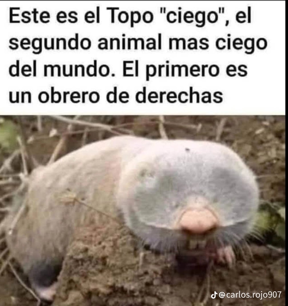 andahio's tweet photo. @NunezFeijoo Como puede haber trabajadores que voten a esta gente? https://t.co/8ocis1Ok1p