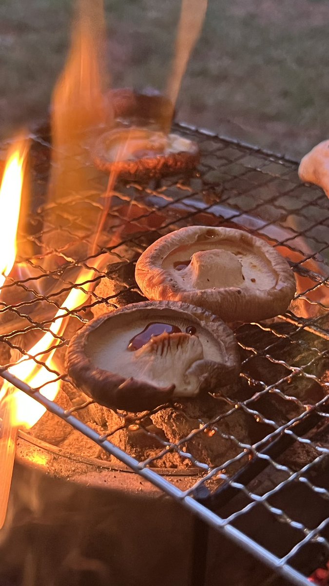 upup67's tweet photo. 晩御飯は焼肉でした！
ｳﾏｳﾏ♪( ´▽｀)
#キャンプ好きと繋がりたい
#キャンピングカー https://t.co/EzVyko2mP1