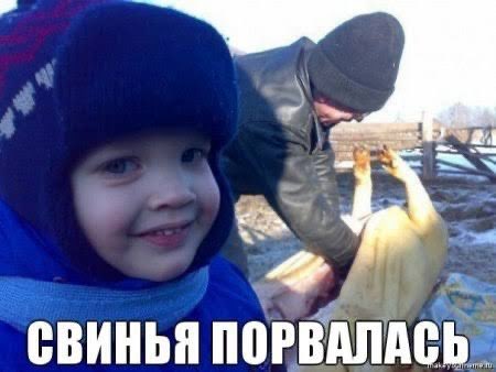 SamPavlov's tweet photo. @cheesehuh Обиделся что тебе сказали гавкай, вместо хрюкай? Ну похрюкай тогда
 Ты точно родню ищешь, возможно бомжи что ебали твою мать были хохлами, так что не удивителен твой порыв в поисках и гиперфиксация на них. Не рвись больше чубатик https://t.co/1pFDuhubyp