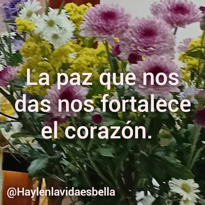 HaylenSanchez's tweet photo. Llévanos de la mano.
 #DiosesAmor
#lavidaesbella https://t.co/HnCODfaPVO