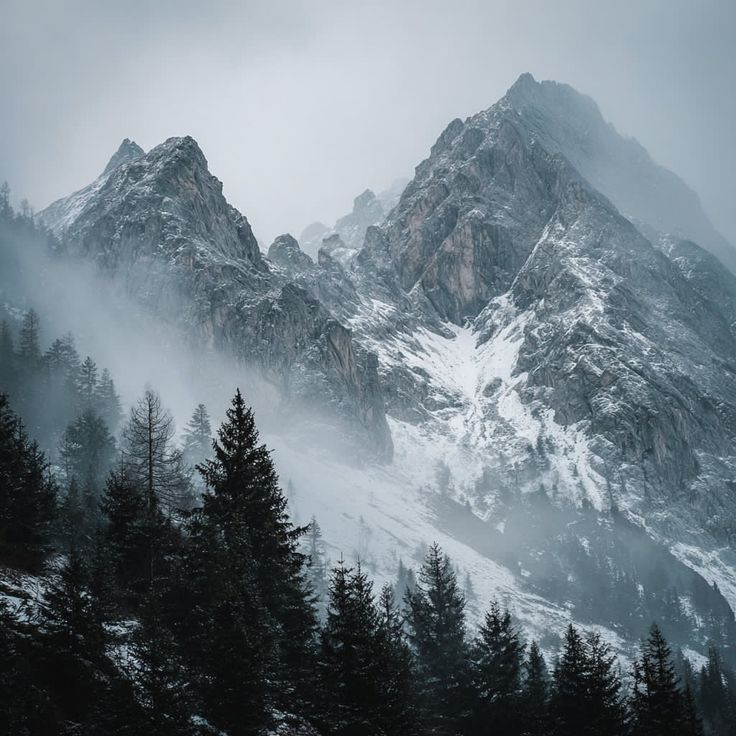 veeisferal's tweet photo. So, we are starting strong.

New NWES Chapter now on ao3. It's chapter 25/35 :)

- SSKK 🔞
- Royalty Omegaverse
- Arranged marriage
- High Fantasy
- Read the tags and warnings and have a blast

Link: https://t.co/CbzFj39v3I https://t.co/Oq3bMVVnwz