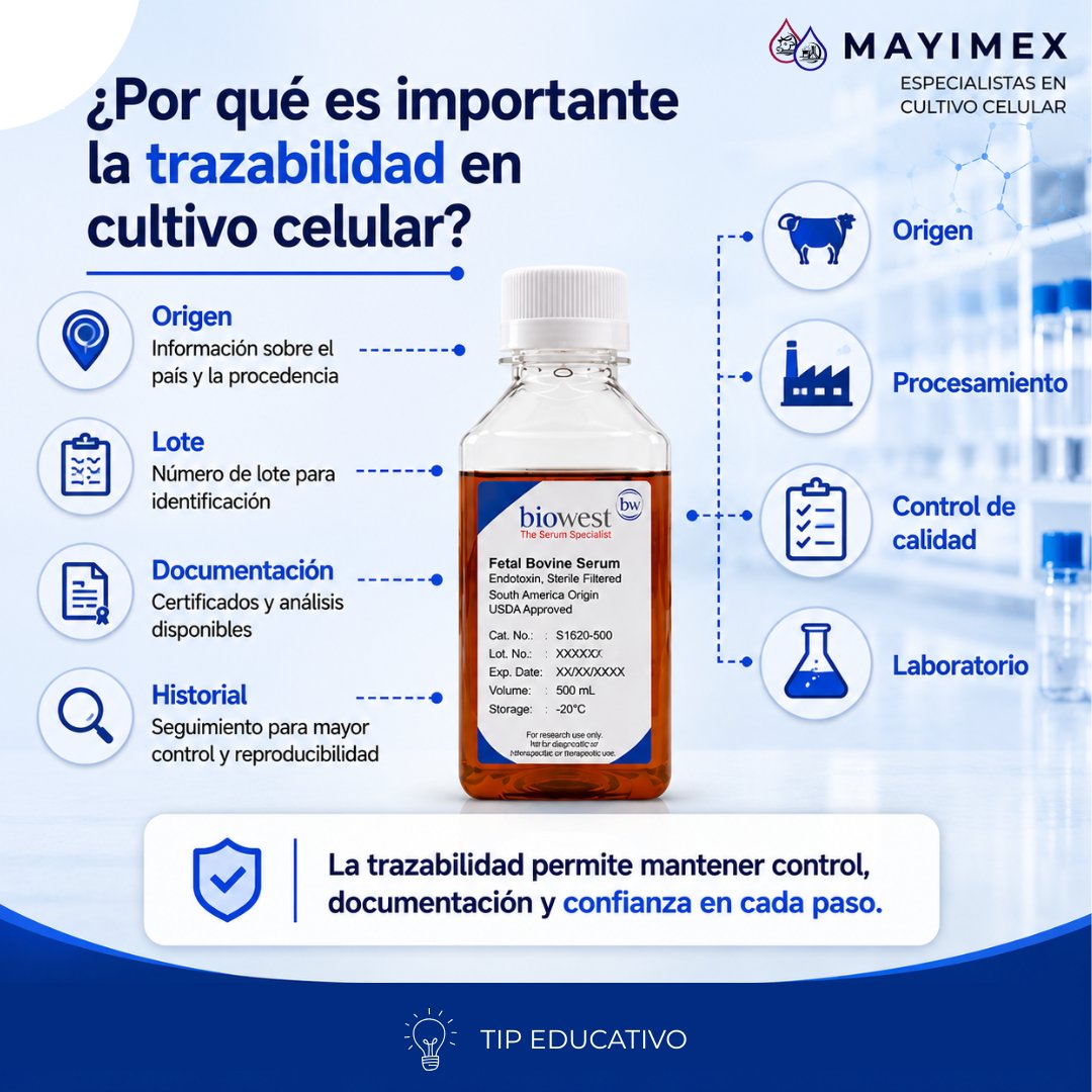 MAYIMEX_MEXICO's tweet photo. 📋 La trazabilidad ayuda a identificar origen, lotes y documentación asociada a los insumos utilizados en laboratorio.

#CultivoCelular #Calidad #Biotecnología https://t.co/lNxToleYPj