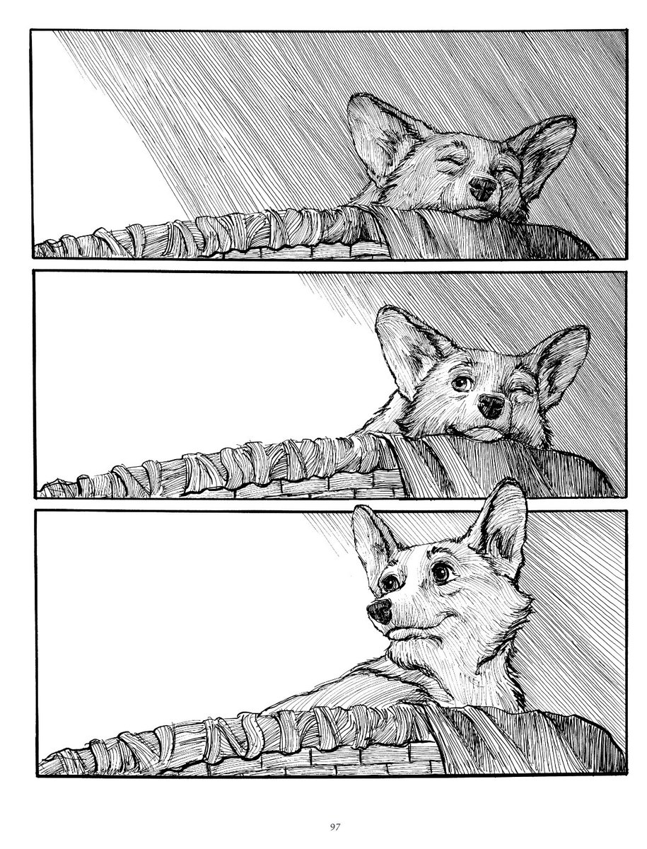topshelfcomix's tweet photo. Hold your #Corgi close today and revisit the wondrous world of Korgi Hollow. Drawings of former #Disney animator Christian Slade makes every page a joy to behold for all ages!
Korgi: The Complete Tale is for eveyone. At bookstores.
#Korgi #InternationalCorgiDay #Corgi https://t.co/MFTzMIuYLr