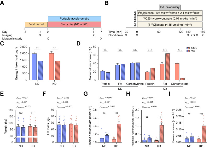 MattCalkinsMD's tweet photo. This study found that in MASLD, a hypocaloric ketogenic diet (KD), when compared to calorie matched "normal diet" (ND), produced:

Greater ⬇️ in intraheptic TG (-29% KD vs -20% ND, 45% greater decr with KD)
Better hepatic insulin sensivity ( +59% KD vs 21% ND)
Better serum insulin
Increase hepatic redox state
Decr mitochondrial TCA cycle oxidation

I am curious what my friends on X think of the conclusion:
"The findings highlight a potential trade-off between greater short-term reductions in liver fat and the emergence of metabolic features previously associated with increased susceptibility to liver injury."

and from the discussion

"Despite substantial reductions in IHTG and hepatic insulin resistance with KD, the concurrent inhibition of hepatic mitochondrial TCA cycle oxidation and increase in redox state may adversely affect liver health."

https://t.co/k97h5nDext