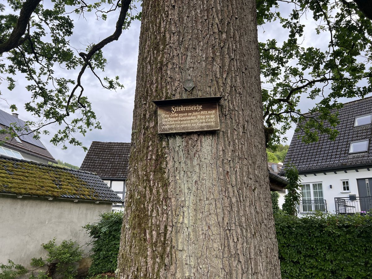 Eisgermane's tweet photo. Niemals Aufgeben https://t.co/LpqBUacAVe