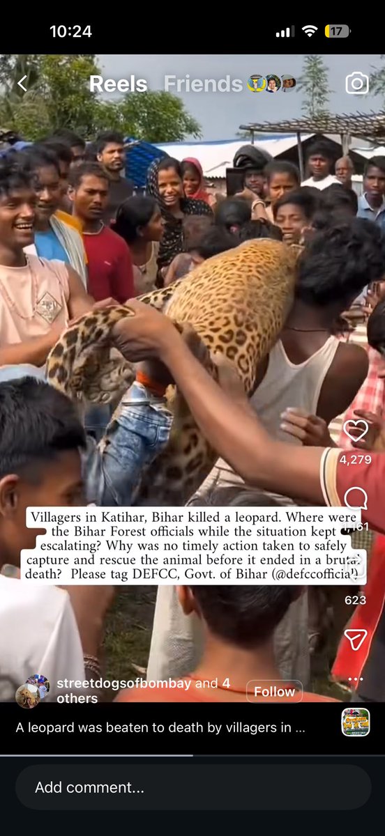 soumyasinghs's tweet photo. @samrat4bjp @narendramodi @News18Bihar @BJP4Bihar 
I understand they’re illiterate uncouth, but seriously is this the life of an animal in India? What the f is wrong with this govt and these ppl?
@NatGeo @NatGeoIndia @BBCWorld @TheLallantop @officialbseb #AnandKishor @PetaIndia https://t.co/xlKToRUSXt