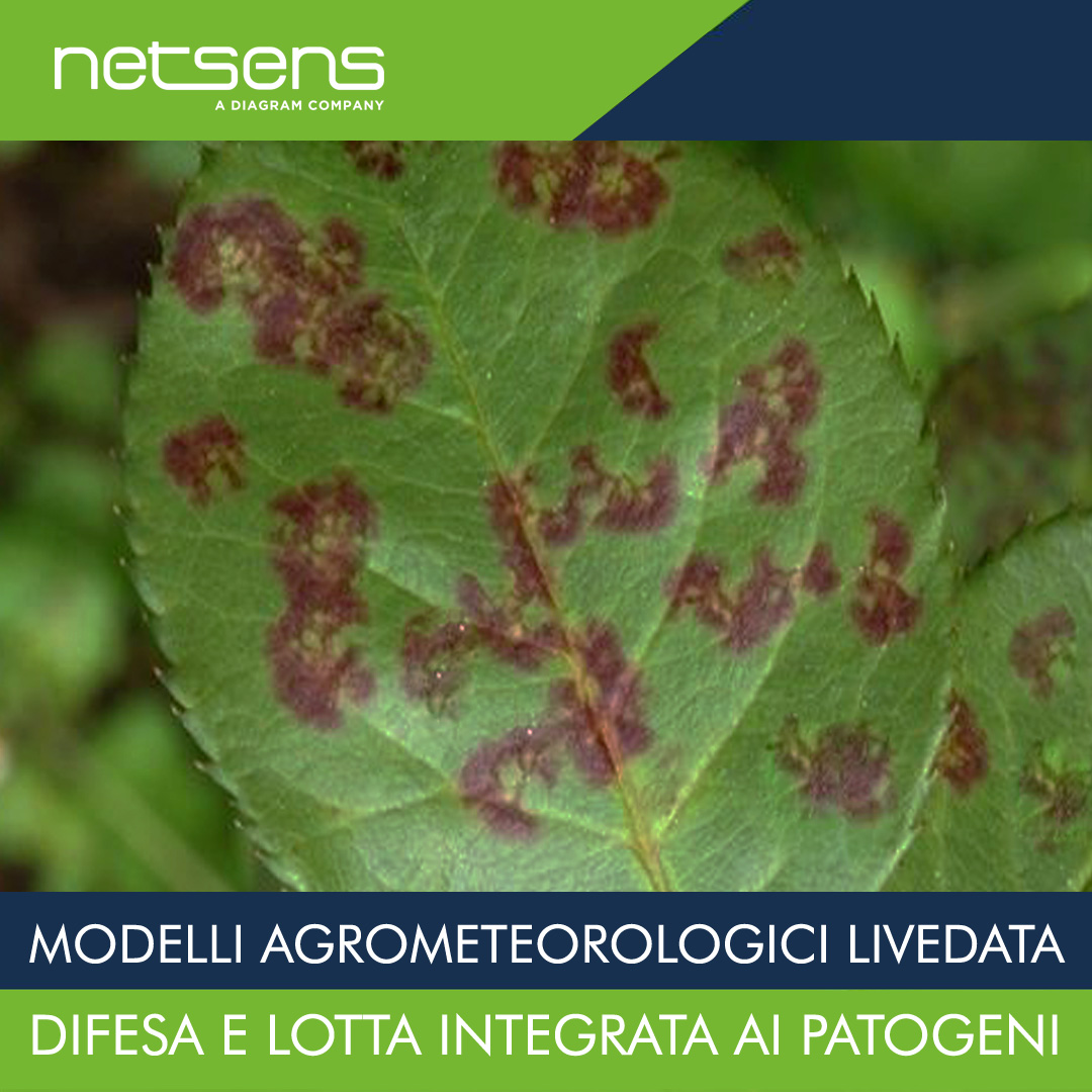 netsens_it's tweet photo. Aprile/Maggio c’è il picco di suscettibilità delle coltivazioni del melo. Umidità e temperatura rendono il melo più vulnerabile. 
Con WiSense IoT a 2 canali e sensori meteo IoT Netsens e Modelli Agrometeorologici LiveData, la Difesa è garantita. 
https://t.co/WyHQHbipCE https://t.co/NqQkhJ7VSq