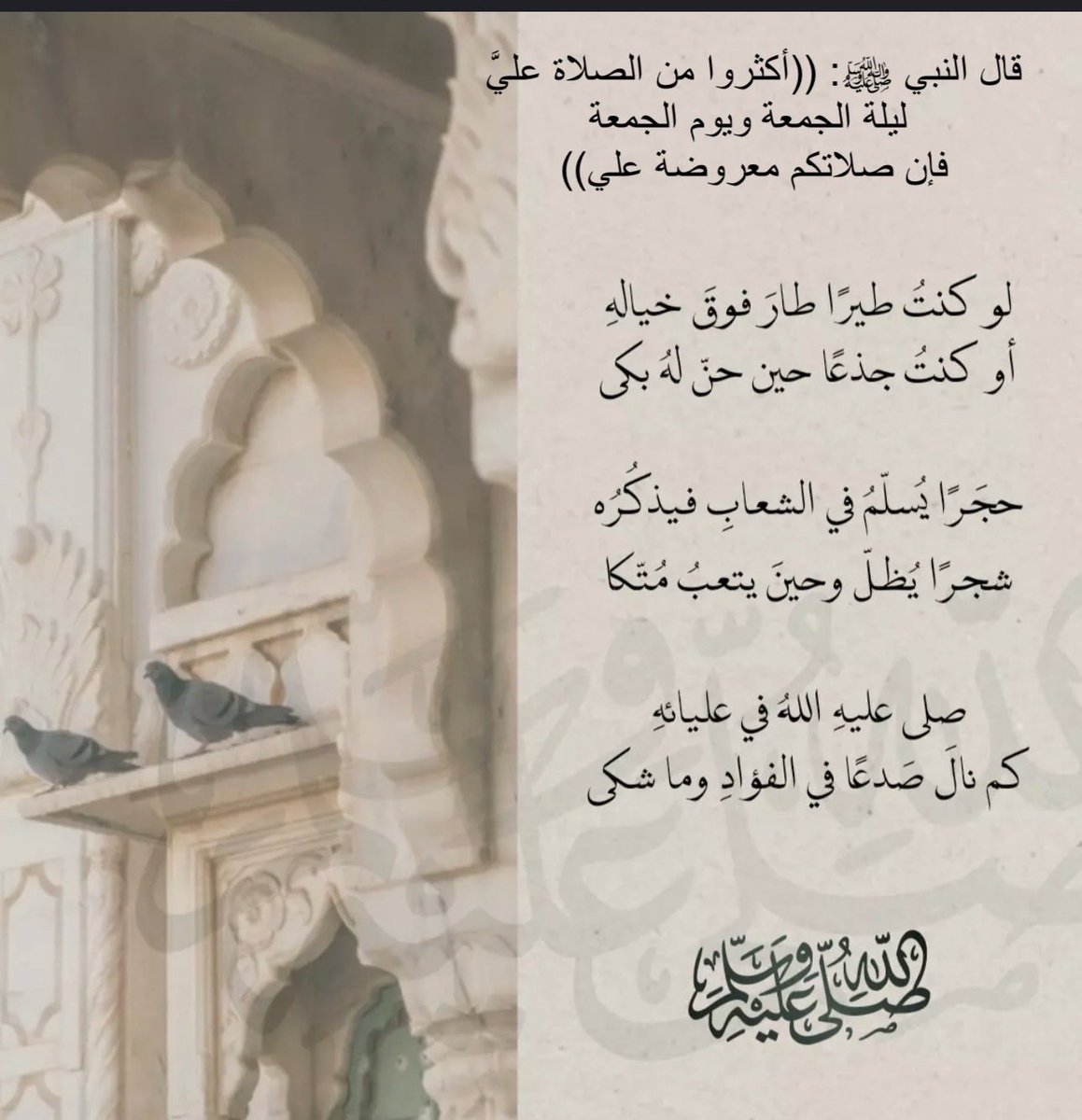 🇸🇦أميرة الود🇸🇦 tweet media