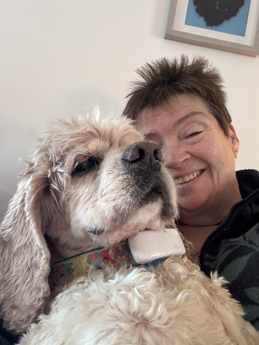 SpanielsSuper's tweet photo. Muuuuum ๐
Yes Isky?
Please can I have a cuddle? #FeelingLeftOut
Come on you big puddingโฆ.. I always for a cuddle for you Isky
#Thanks mum #CuddlyPup https://t.co/voa7lSaP1J