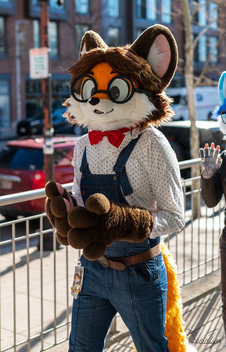 Taylor! 🦊🎀 tweet media