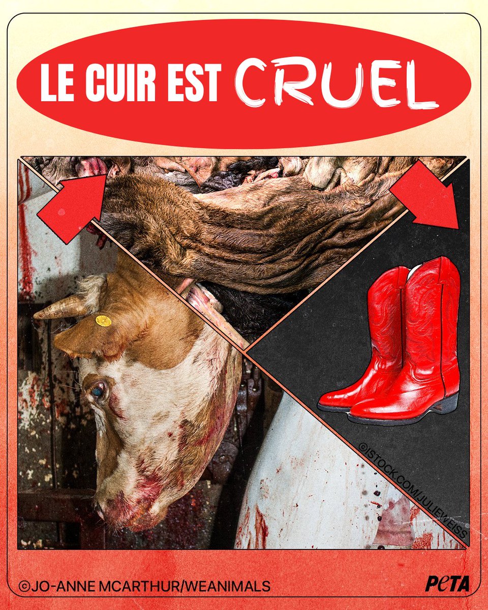 PETA_France's tweet photo. Aucun style ne vaut une vie. 💔👢

Adoptez une mode végane, éthique et sans souffrance animale. https://t.co/A6Ac5GaL2C