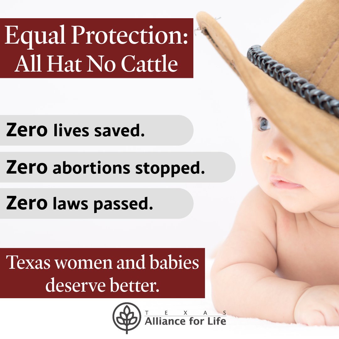 Human Life Protection In contrast, the leading proponents of Equal Protection language have ...