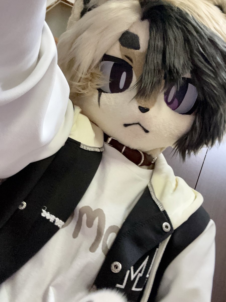 +冷軌/Kaltespur+🔜UTFG tweet media