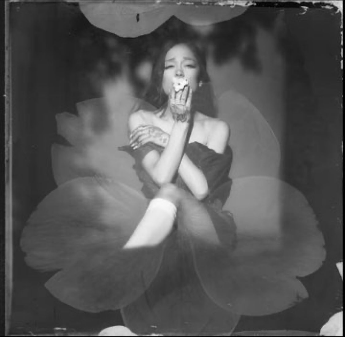 arislobotomy's tweet photo. it’s so much flower in the mouth imagery… i wonder did she write this album stoned https://t.co/kl4dtwcCxC