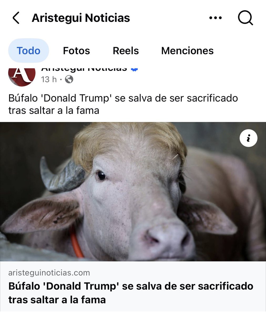 POLORESIST's tweet photo. Se salvó el Buffalo 😬 #SuSupremo https://t.co/D0Lmj8B1tr