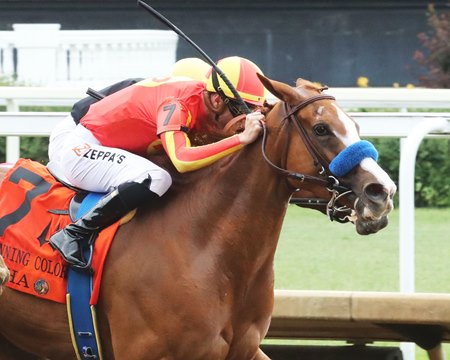 GaryDougherty's tweet photo. Winning Colors S.

23 runnings

Jockeys winning 3x

Julien Leparoux @JulienLeparoux  2008-Graeme Six, 2014-Southern Honey, 2016-Diva Express (DH)

Florent Geroux @flothejock 2015-Street Story, 2023-Echo Zulu, 2026-Usha https://t.co/XsN95BDzd7