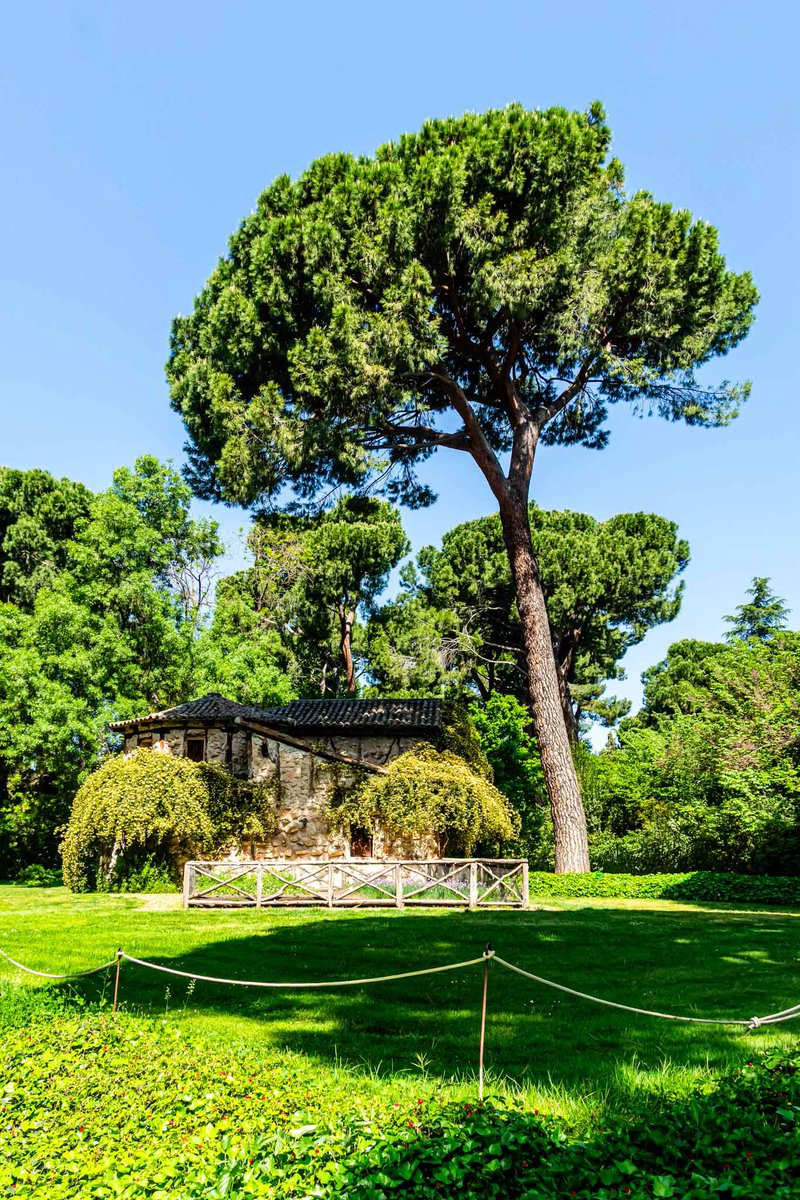 jslsvega's tweet photo. El Capricho en la Alameda de Osuna de Madrid.
#madrid #parque #naturaleza #urbano #templete #alamedadeosuna #elcapricho https://t.co/riHN6W134T