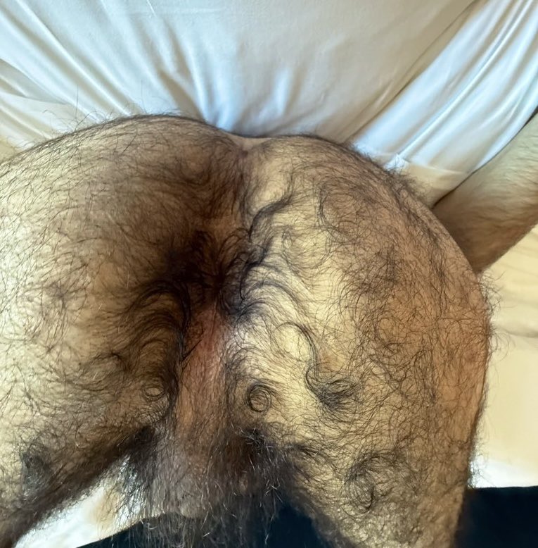 Xannnnnnn96's tweet photo. HAIRY MEXICAN ASS https://t.co/iWuqVNmEcd