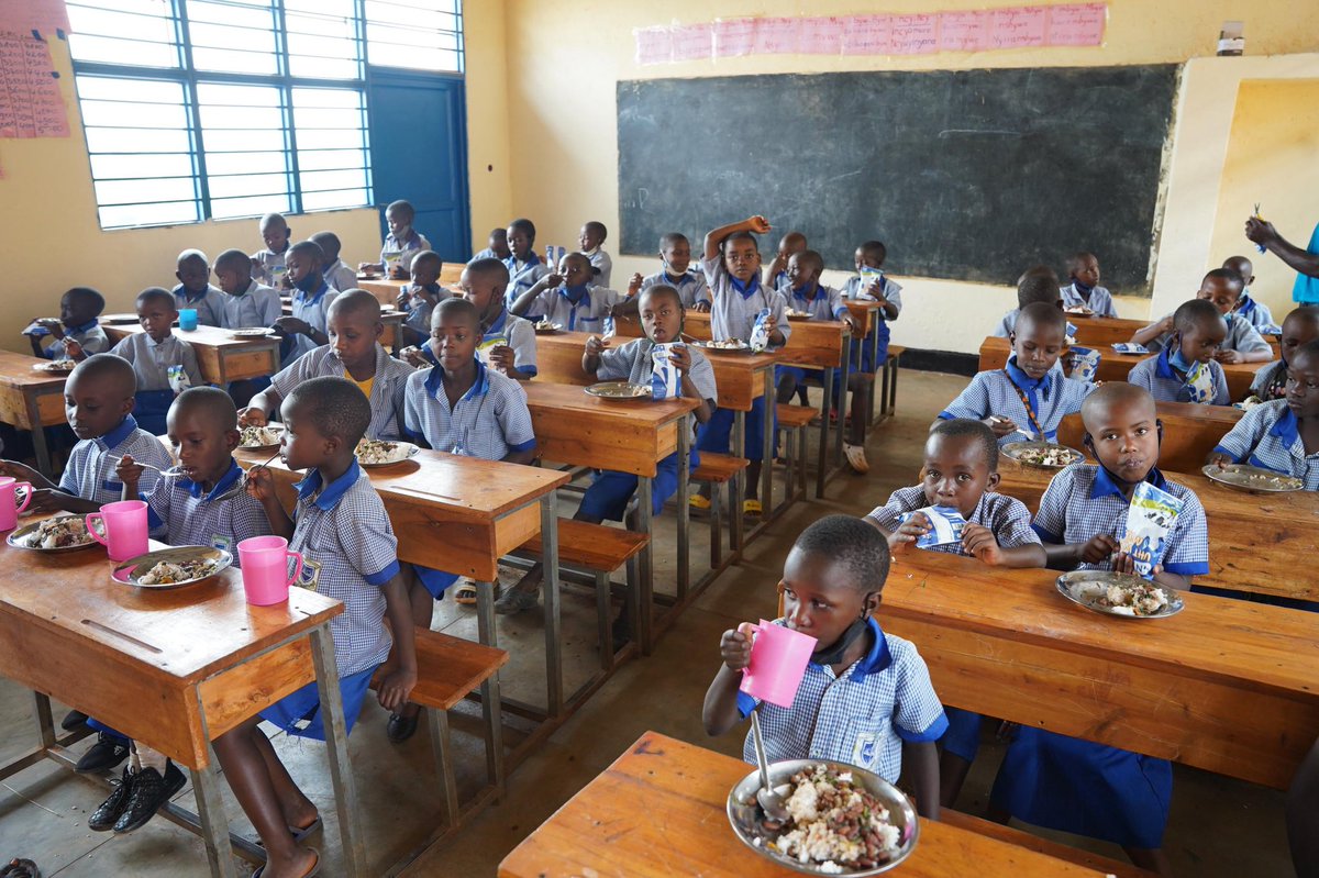 NewTimesRwanda's tweet photo. A new nutrition-focused initiative promoting the cultivation of iron-rich beans and vegetables in school farms is set to improve diets and reduce school feeding costs for more than 445,000 learners in Karongi, Nyamasheke, and Rusizi districts.

READ: https://t.co/SKzo72qvps https://t.co/2yVtgzLu19