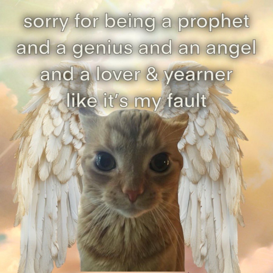 gakstercat's tweet photo. https://t.co/Ga7ZWvc7rB