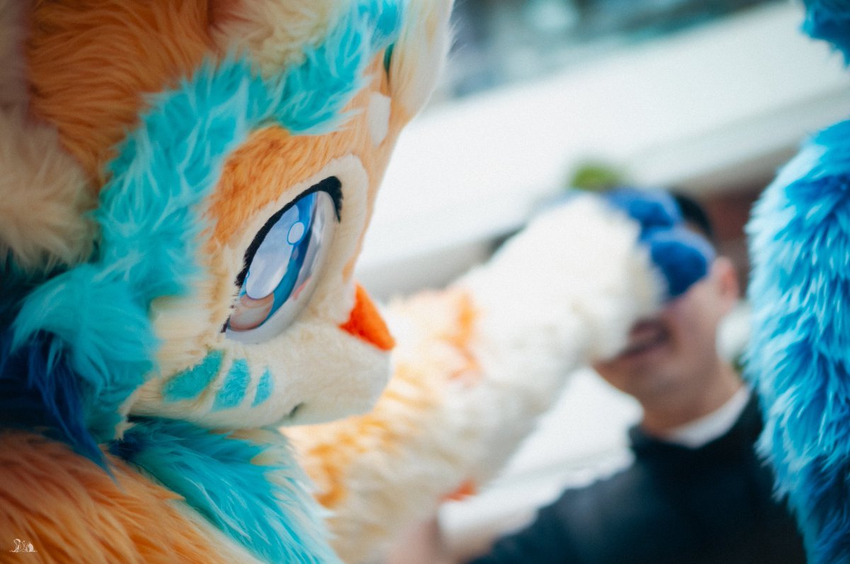 yakumowolf_2112's tweet photo. 你眼中皆是众生，而我眼底唯独是你
📷:@pio1840708 
#fursuitfriday #starfire https://t.co/exdvAb7jUP