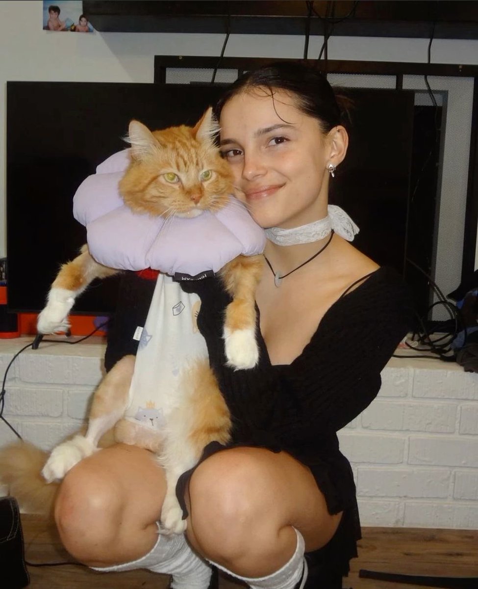 marie tweet media