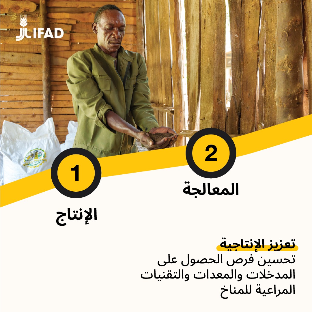 IFADarabic's tweet photo. من الميل الأول وحتى المستهلك الأخير، يستثمر الصندوق الدولي للتنمية الزراعية في كل خطوة من خطوات سلسلة القيمة – بدءًا من المدخلات والإنتاج وصولاً إلى المعالجة والنقل والأسواق.

لتنزيل الملخص الكامل ⬇️
