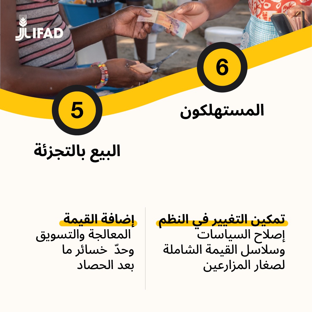 IFADarabic's tweet photo. من الميل الأول وحتى المستهلك الأخير، يستثمر الصندوق الدولي للتنمية الزراعية في كل خطوة من خطوات سلسلة القيمة – بدءًا من المدخلات والإنتاج وصولاً إلى المعالجة والنقل والأسواق.

لتنزيل الملخص الكامل ⬇️