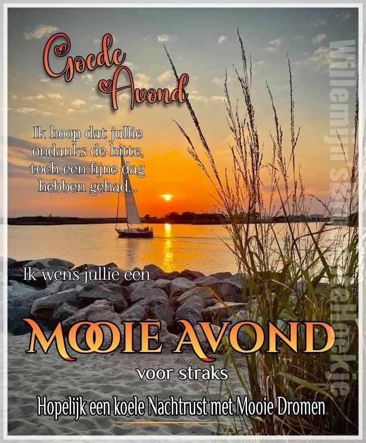 @janlvd2 🦋 tweet media