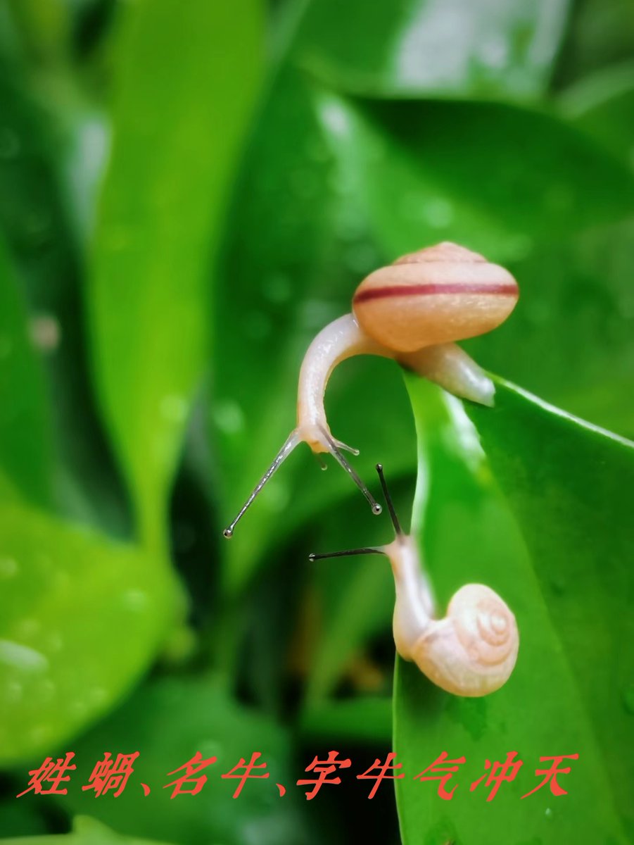 trigui1's tweet photo. Growth isn’t about becoming perfect—it’s about embracing the messy parts that make you you, one small step at a time. https://t.co/A8Ec3Z3EX7
