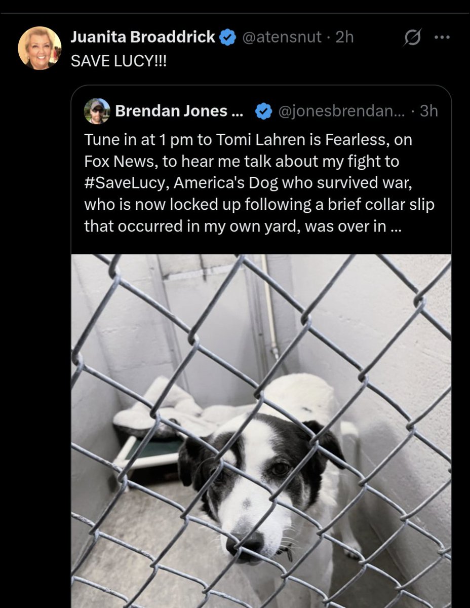 Brendan M. Jones 🇺🇸 tweet media