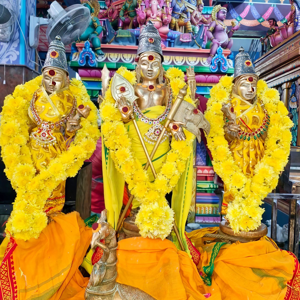 ChendurMuruga's tweet photo. மயில் வாஹனா வள்ளி மனமோஹனா சரவணபவா வரமருள்வாய் வா!
தெய்வானை நாயகா புவனம்
எங்கும் நிறை மாயவன் மருகா ஆரணப் பொருளே அடிமை 
எனை ஆள வா!

#முருகாசரணம் 🐓🦚
#MurugaSaranam
#मुरुगा_चरणों
#hindu #god #murugan 
#lord #muruganthunai
#murugansongs #muruga #tiruchendur #murugar 
#Festival https://t.co/TTquriowhV