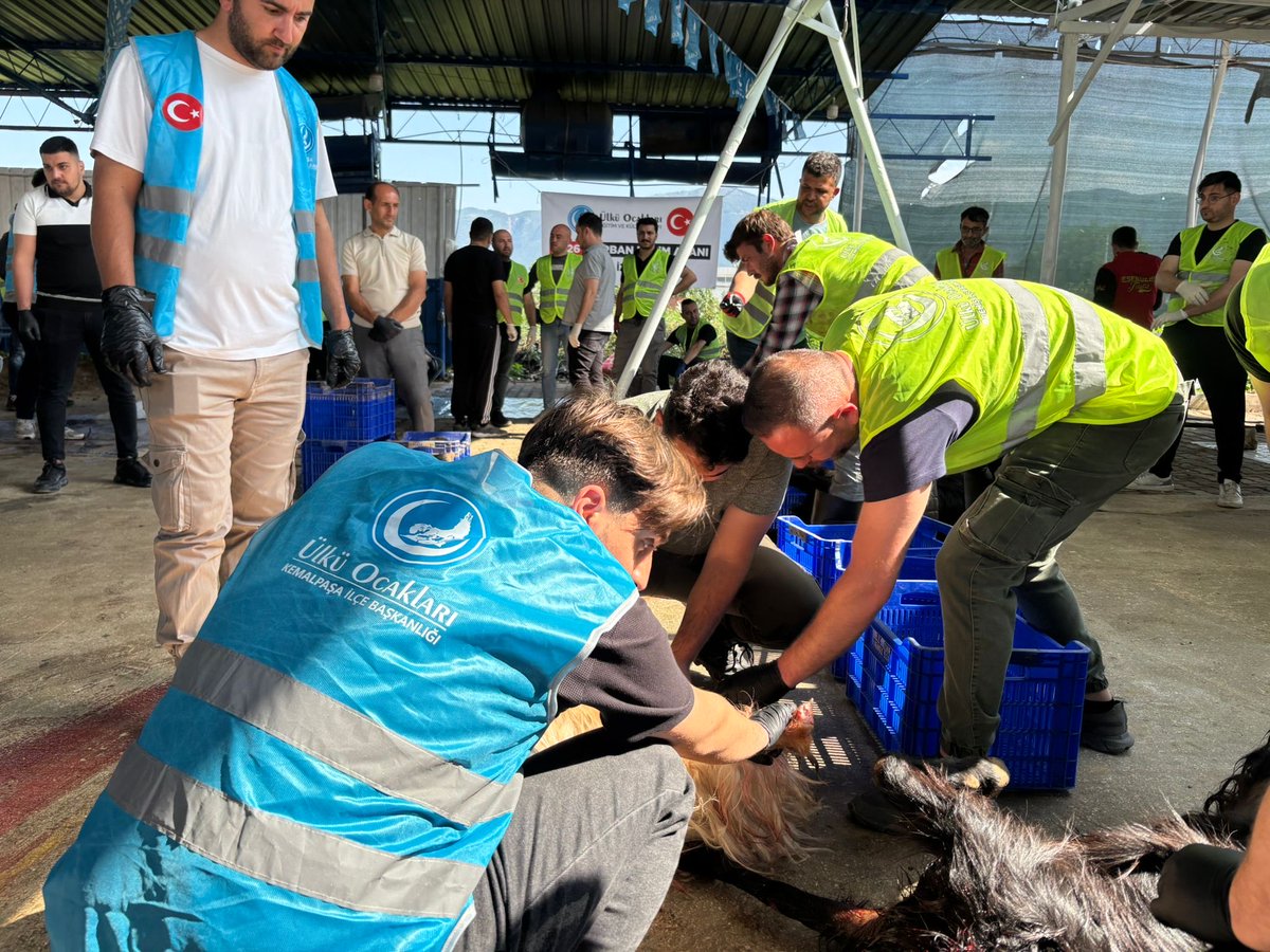 siirtocak's tweet photo. 📍İZMİR

Ülkü Ocakları ve Avrupa Türk Konfederasyonu üzerinden bağışlanan kurbanların kesimleri İzmir’de tamamlanarak Kurban Bayramımızın birinci ve ikinci günü olmak üzere dağıtımları gerçekleştirildi. https://t.co/bTGl8hwVVR