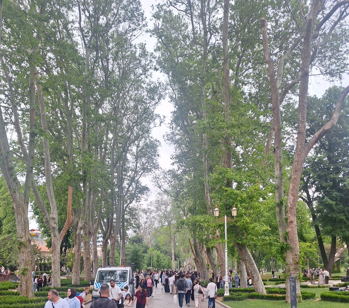 Rıdvan Özturgut 🇹🇷 tweet media