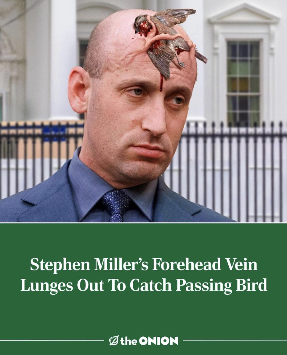 onion person tweet media