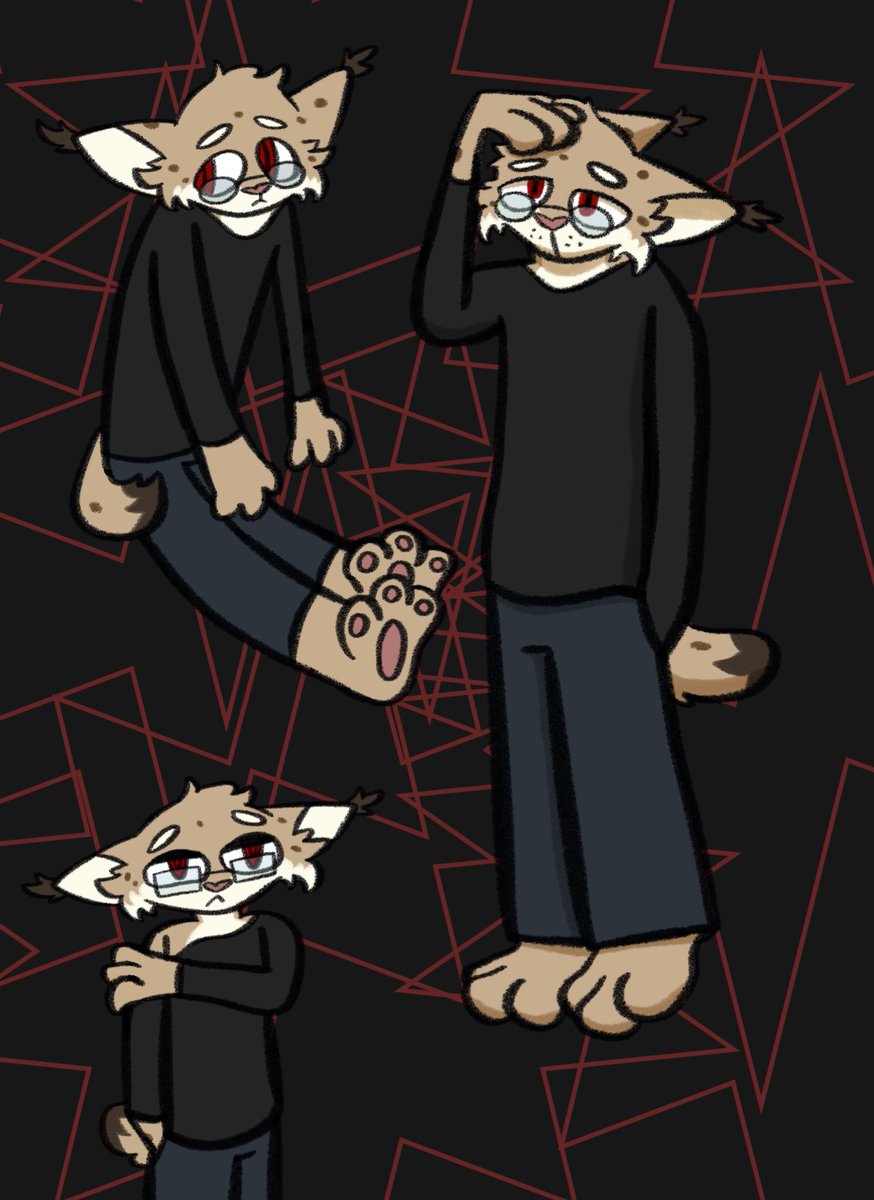 iberianlynxcat's tweet photo. Boredom https://t.co/bGkjpa79nX