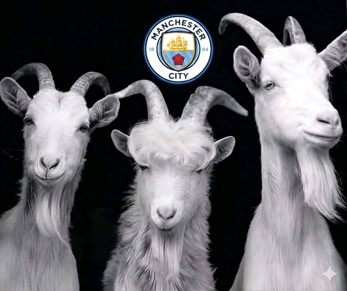 _MancityGee's tweet photo. Name your 3 Greatest Mancity players https://t.co/9RWGqUL774