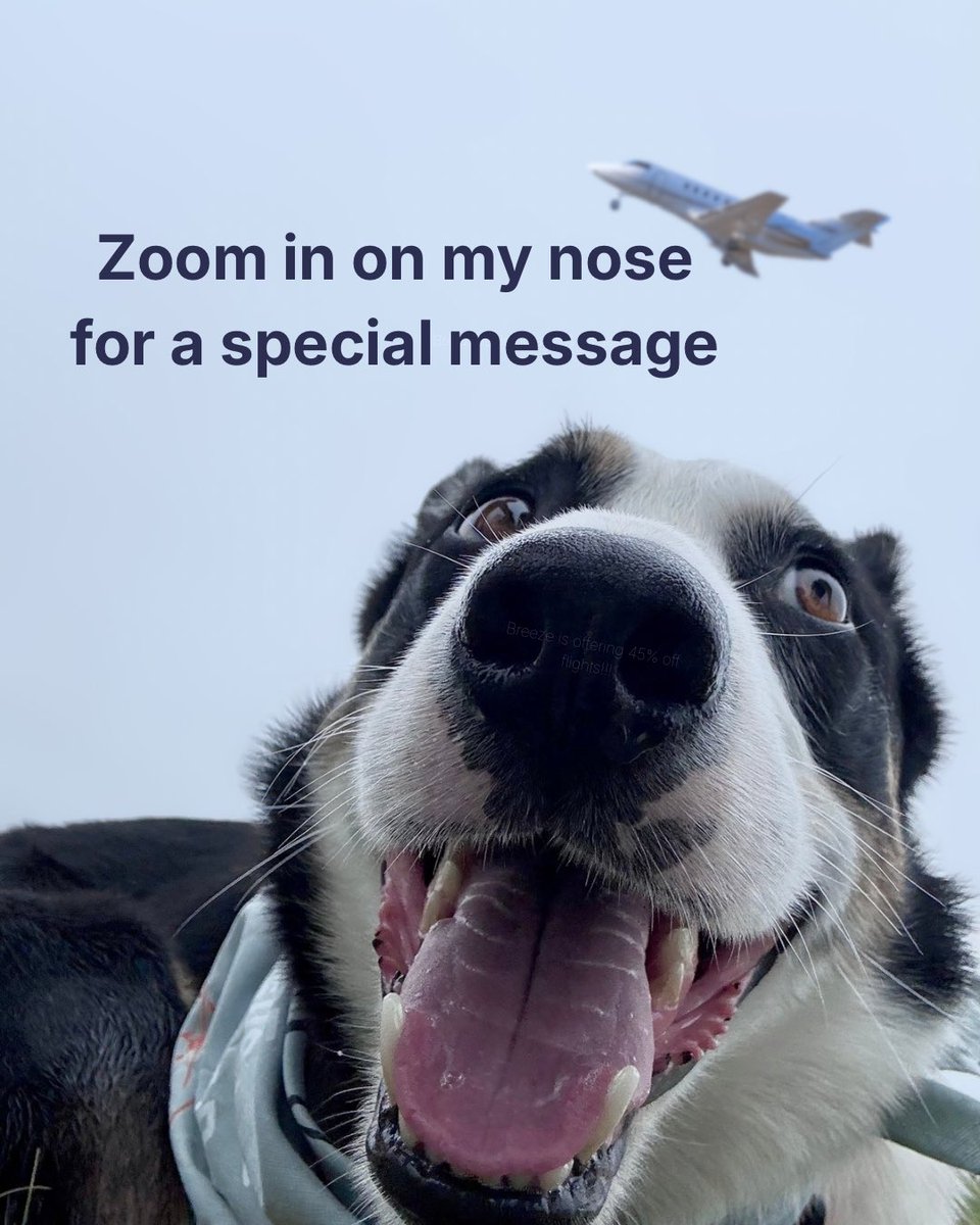 flycrw's tweet photo. Zoom in for a secret message ✈️

https://t.co/GfrcgZWYcA
Code: BIRTHDAY https://t.co/K31OPriQHl
