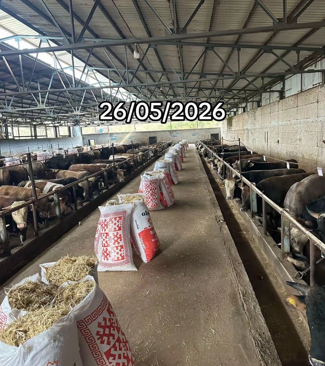 gusholderhaber's tweet photo. Abi kardeş, 1 günde tüm kurbanlıklarını sattı:

“Kurtlar vadisi operasyonu bitmiştir” https://t.co/VfWKLUP6sz