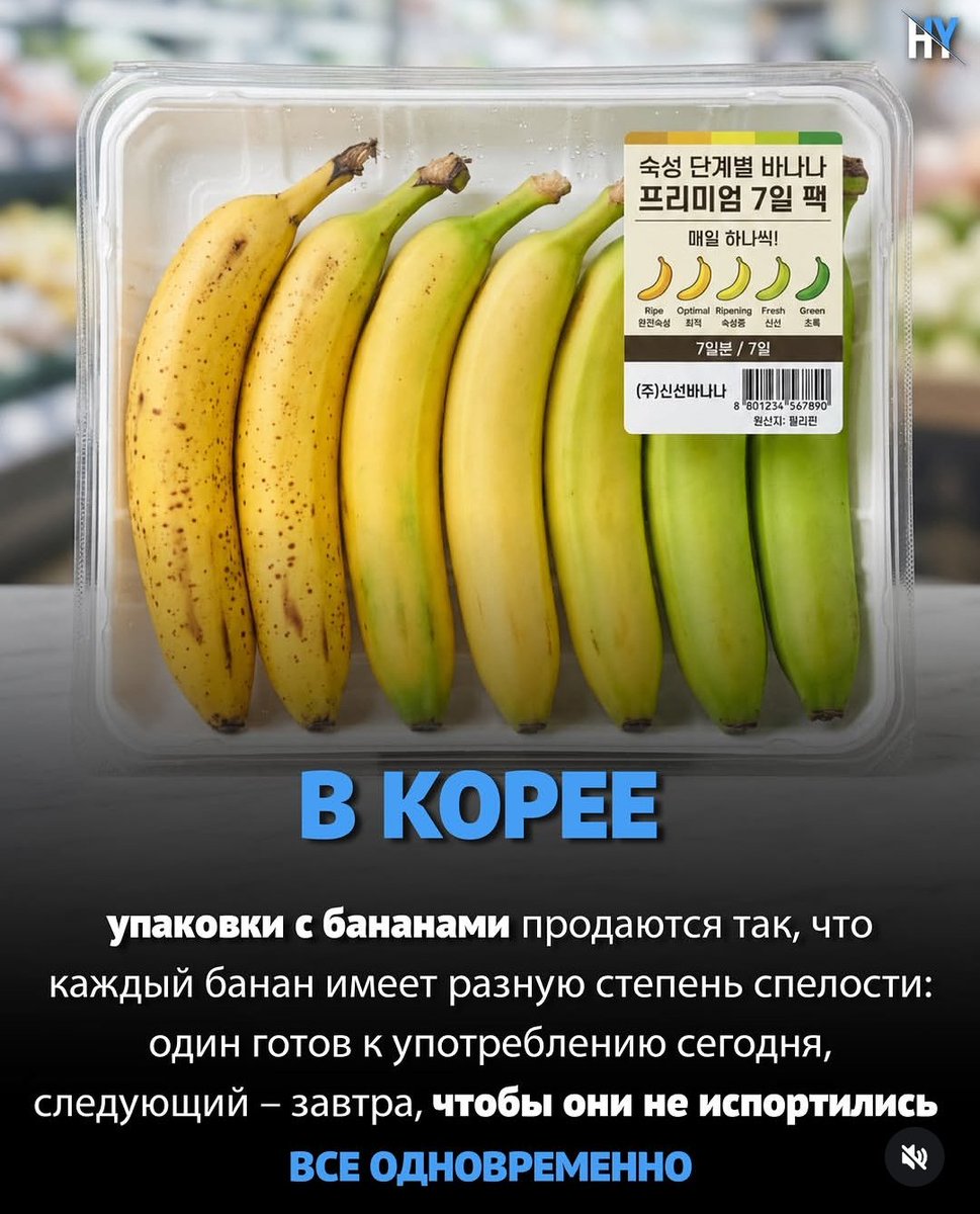 svaluev's tweet photo. https://t.co/c8eS3LzCnR