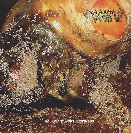 Alber_Metal's tweet photo. PISSGRAVE "Malignant Worthlessness" fue publicado el año pasado, un 21 de febrero del 2025, editado por el sello Profound Lore records. Pissgrave se formaron en Philadelphia - USA en el año 2013, han grabado ya 3 álbumes, practican Brutal Death Metal. https://t.co/Ug9ijdoppk