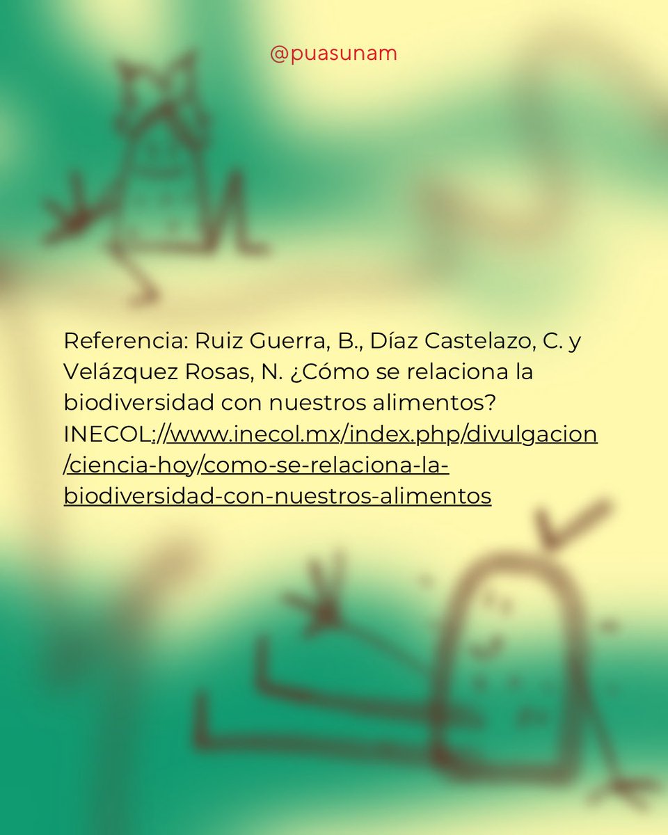 Alimentación Sostenible UNAM tweet media