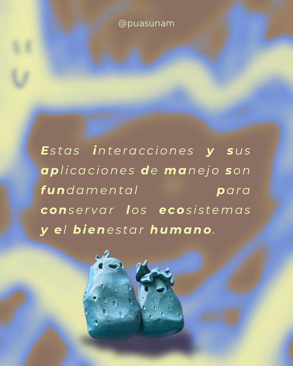 Alimentación Sostenible UNAM tweet media