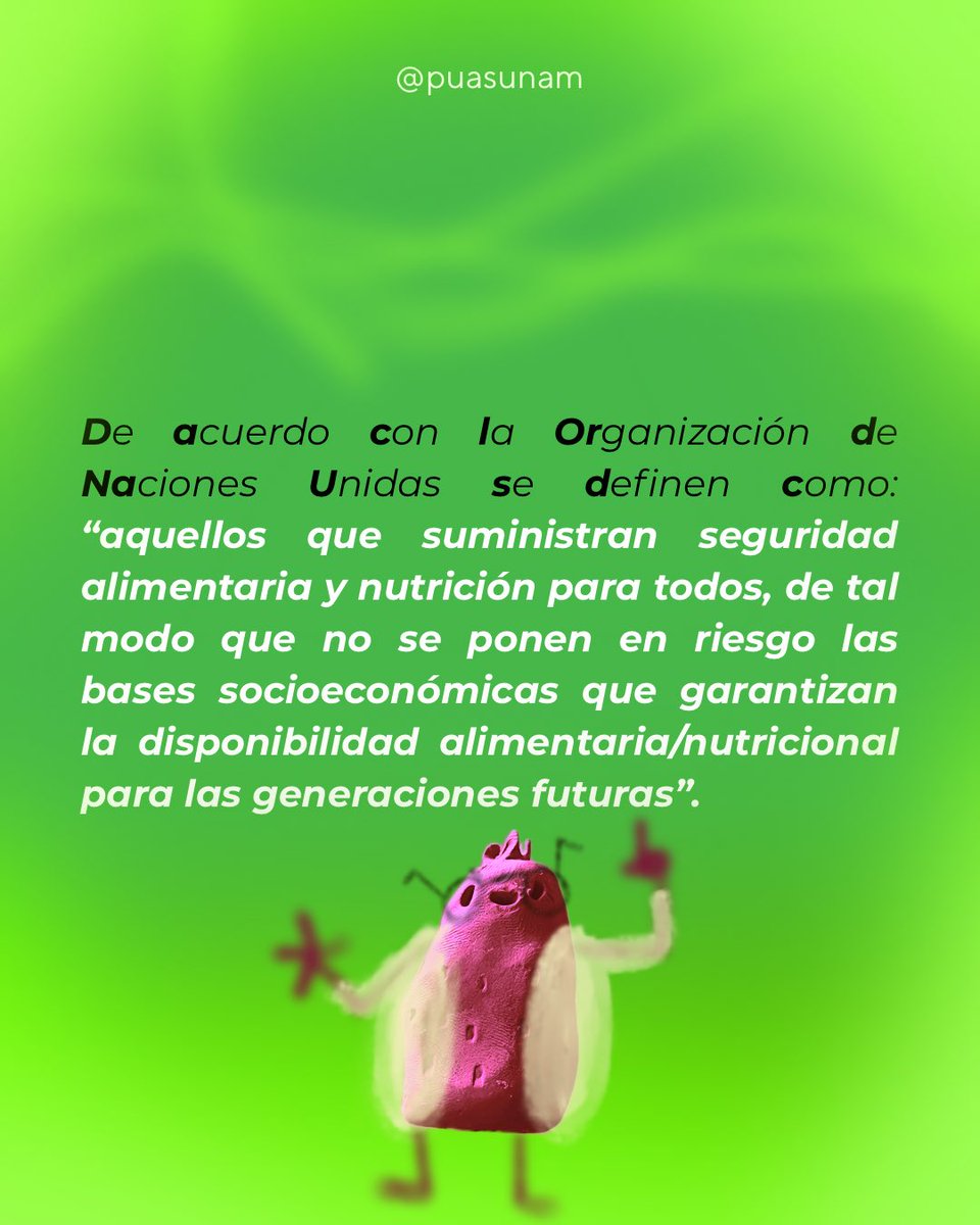 Alimentación Sostenible UNAM tweet media