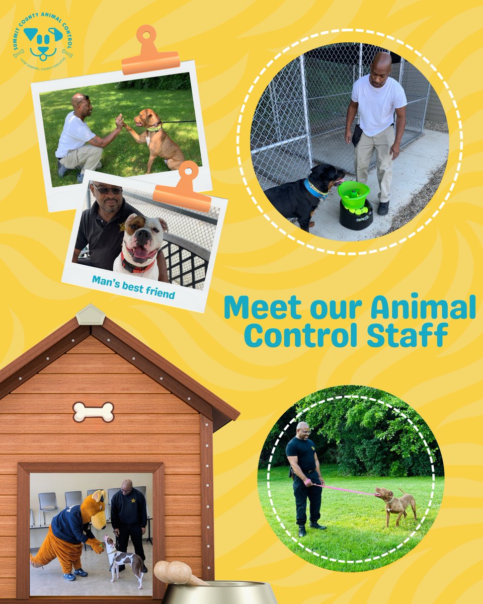 SummitExecutive's tweet photo. We know you are familiar with these furry faces, but have you ever wondered who keeps their tails wagging?🤔

💙It's our amazing staff and volunteers at Summit County Animal Control! They are just as loveable and keep our four-legged companions in the best care. https://t.co/t4Ga30Nzi6